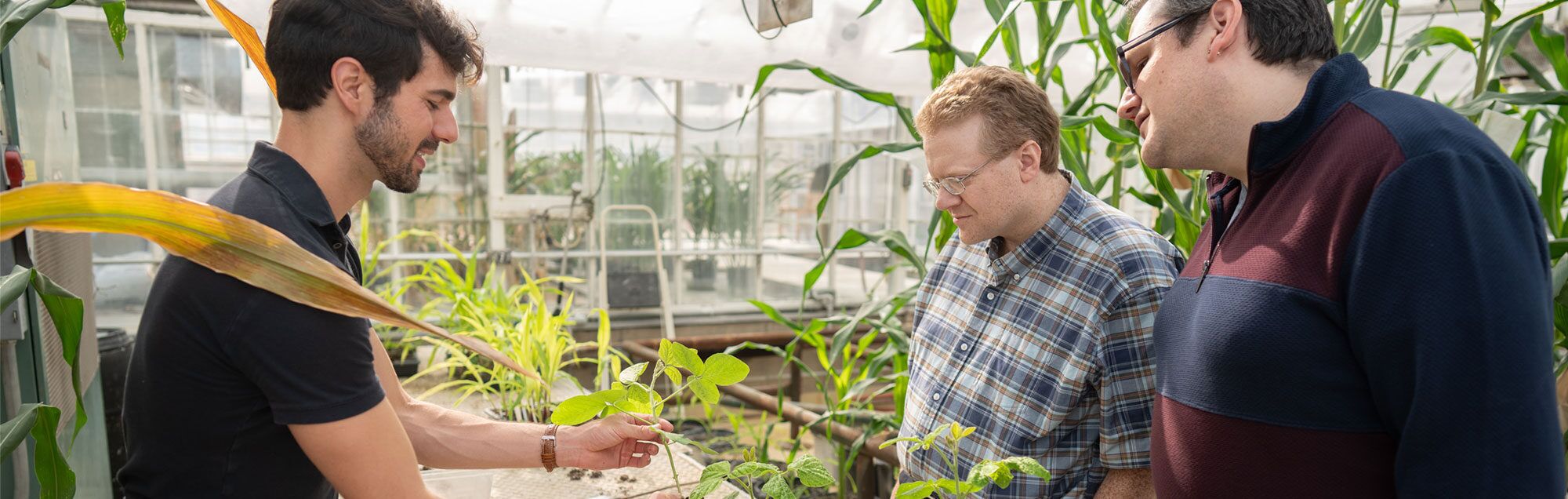 Dudley Lamming and Jacob Brunkard examine plants in a greenhouse