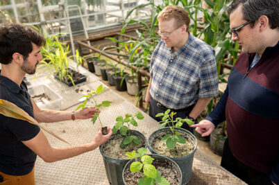 Dudley Lamming and Jacob Brunkard look at plants in a greenhouse