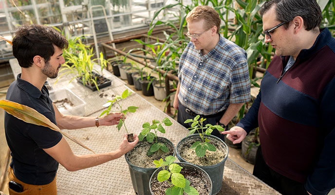 Dudley Lamming and Jacob Brunkard look at plants in a greenhouse