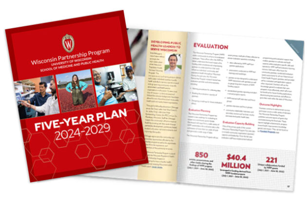 WPP five-year plan