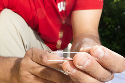 Johnny Uelmen collects a tick using tweezers.