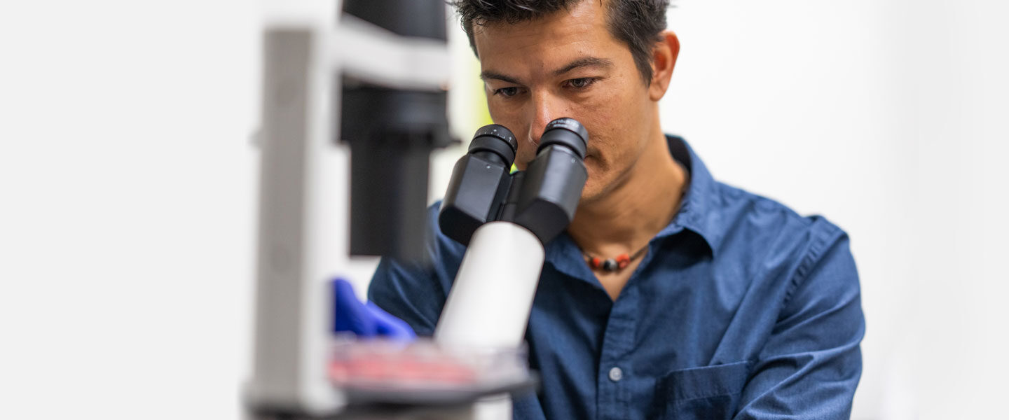 Andrea Galmozzi looks through a microscope