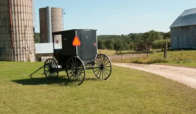 A buggy, meant to be pulled by a horse