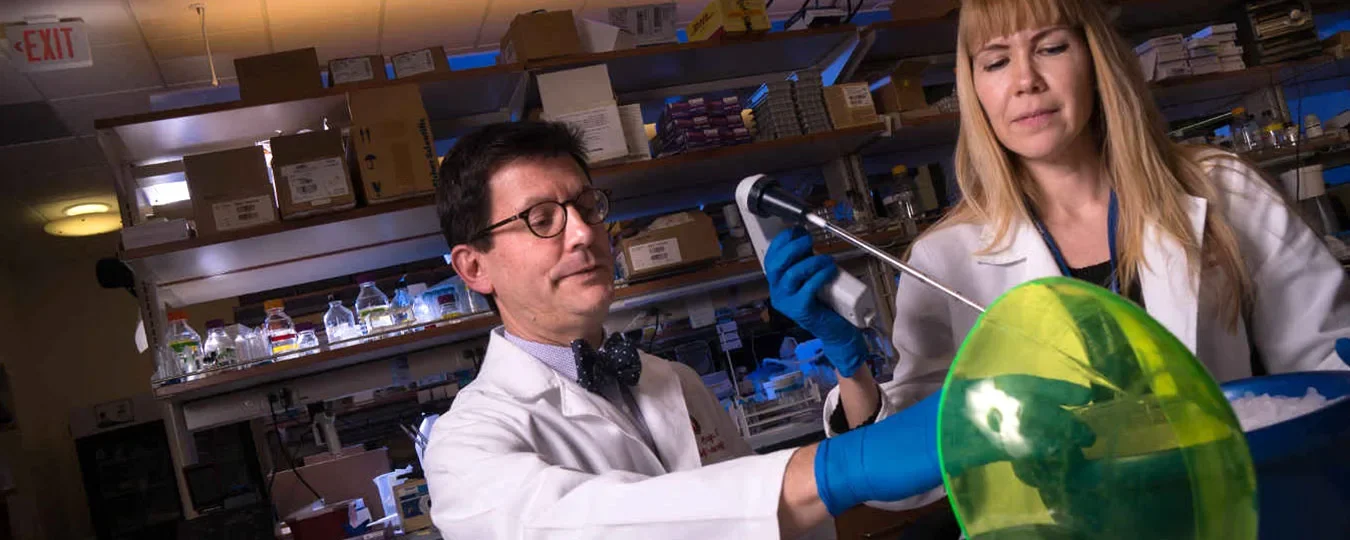 Two researchers working in a lab