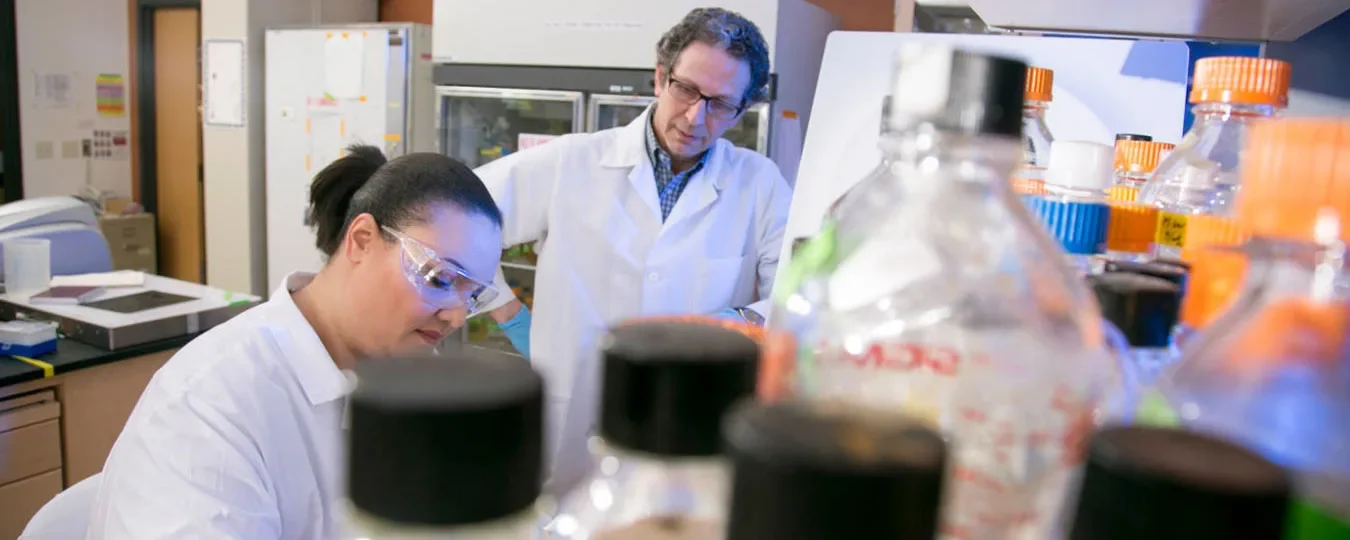 Two scientists working together in a lab