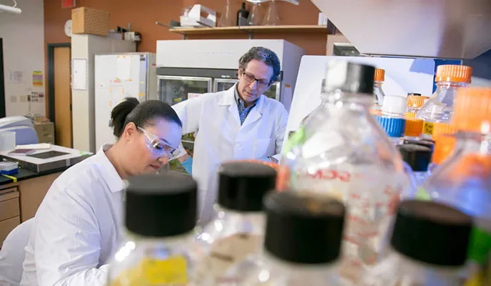 Two scientists working together in a lab