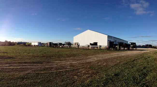 A sunny Amish farm landscape